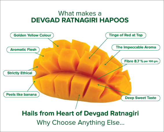 Манго инфографика. Полезные вещества в манго. Манго витамины. Манго состав. Полезные витамины манго
