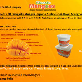 Benefits Of Devgad Ratnagiri Hapoos Alphonso & Payri Mangoes